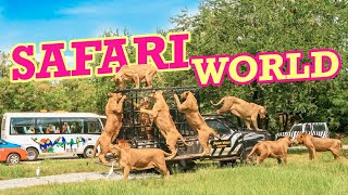 ✅  Экскурсия в Мир Сафари (Safari World)