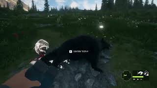 HUNTING: ROCKY MOUNTAIN ELK & BLACK BEAR [Silver-Gold] - theHunter: Call of the Wild #thehuntercotw