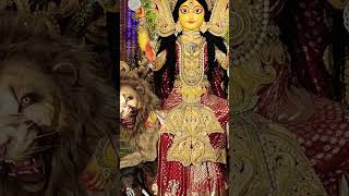 Jagadhatri Puja 2022 #puja2022 #shorts #shortsvideo #ytshorts #pujapandal #chandannagar #jagadhatri