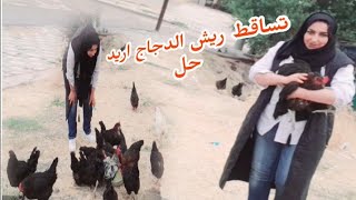 جولة مع الدجاج ولا اروع🐓🐔🌱🐣😅🤪