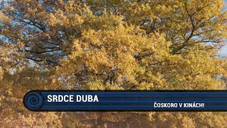 Srdce duba (HD trailer)