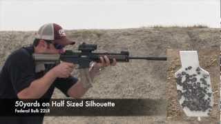 Smith and Wesson MP15-22 Rifle Review 22lr AR15 Trainer Silerncer Live Fire Vltor Troy