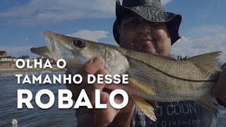 OLHA O TAMANHO DESSE ROBALO | Nilson Paparazzi Pescador