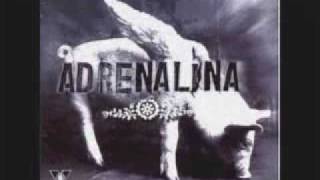 El Salvador, "Don Placer", Adrenalina, Musica Fusion, Nacional