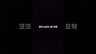 햄스터 노는거 1초요약