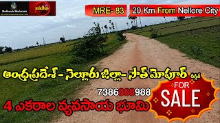 Land For Sale in Andhra Pradesh State, Nellore District ||South Mopur|| 4 Acres Paddy Fields||MRE-83