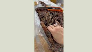 Vietnam high quality dried whole Dried baby Squid wholesale seafood From Blue Lotus