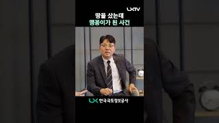 [알쓸국어#5] 맹지 사서 분노한 윤주임 #lx한국국토정보공사 #office #코미디 #시트콤