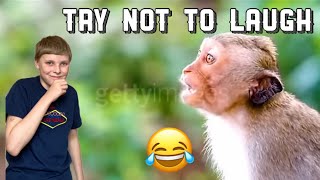 TRY NOT TO LAUGH CHALLENGE