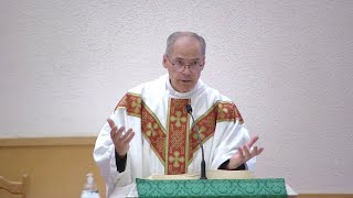 "The Little Way is the best way to"| Homily - Tuesday, October 1, 2024 - by Fr. Steven