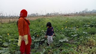 ইমান ডাঙৰ ৰঙালাও ! আৰু কি কি দেখা পালো পাহি ৰ সৈতে পথাৰত চাওক এবাৰ