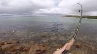 Multi-species Fishing off the rocks