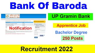 Bank of Baroda Recruitment 2022 | BOB UP Gramin Bank | Bachelor Degree Job | 250 Posts | Apprentice