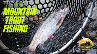 Mountain Trout Fishing - The Best fishing!