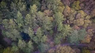 Tree House Break - Wales