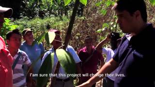 Livelihoods agroforestry project in Guatemala