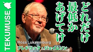 ジェイムソンの「現実の捉え方」