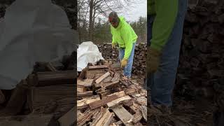 Spring Storm | Last Load 🪵 #firewood #fire #work #asmr #shorts #wood