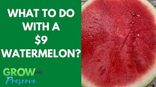 What is Watermelon Jerky, and How to Make It?