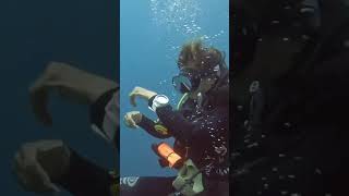 female scuba diver fixing equipment