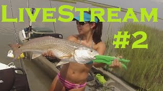 Live Stream #2!! w/ Cora