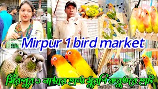 দেড় লক্ষ টাকা দামের পাখি | mirpur 1 bitd market | dami sob pakhir hat | 2024 pakhir hat