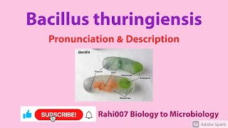 Bacillus thuringiensis #YoutubeShorts