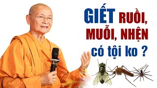 "Giết Ruồi, Muỗi, Nhện,. Có Phạm Tội Sát Sanh Không?" Vấn đáp Phật Pháp Thầy Viên Minh