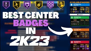 NBA 2K LEAGUE PROFESSIONAL SHOWS BEST CENTER BADGES TO USE IN (WITH INSIGHT) NBA 2K23 PARK/PROAM/REC