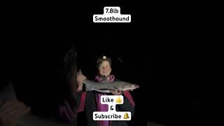 7.8lb Smoothound