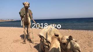 סיני 2018 sinai egypt