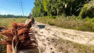 Horse TAKES OFF After Owner FALLS OFF & I Had To Chase Him Down!!!