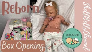 Reborn Baby Box opening & Installing a BabySitMe Box!