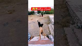 تمرینات مرگبار😂🤤 #پارکور #ولاگ #shorts #vlog #viral