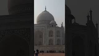 Tajmahal #shorts #viral #shortvideo #tiktok #trending #youtubeshorts