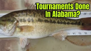 Proposed Alabama Law Poised To End Bass Tournaments In The State…