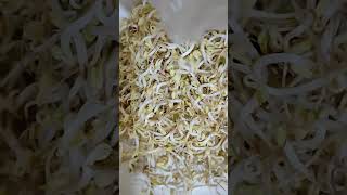 SPROUTED BEANS #shortsviral #satisfying #asmr