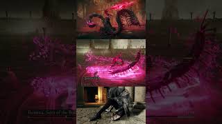 20 Night of Black Knives VS Romina, Saint of the Bud - Elden Ring Shadow of The Erdtree DLC