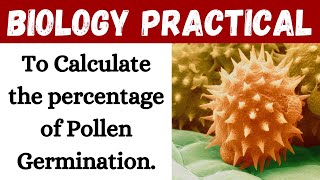 To Calculate the percentage of Pollen Germination II Biology II Learning Practicals