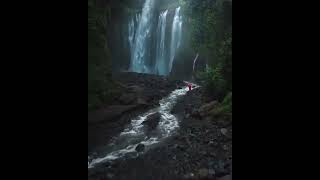 Прекрасный водопад в лесу.