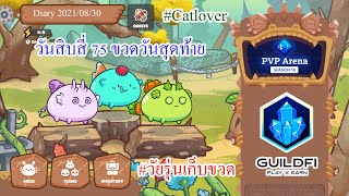 Axie Infinity Diary 2021/08/30 - วันสิบสี่ 75 ขวดวันสุดท้าย