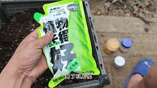 一款“懒人肥”，不用稀释，直接浇灌，长势快且开花多，省心好用