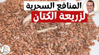 المنافع السحرية لزريعة الكتان أو بذور الكتان نصائح وارشادات الدكتور نبيل العياشي