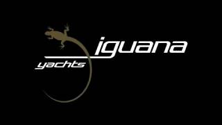 Iguana Day Limo