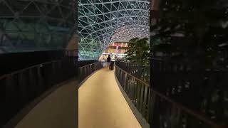 Brand new skywalk at Doha Airport in 7 seconds!