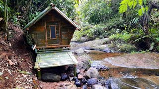 Solo Camping Membangun Tempat Perlindungan Di Pinggir Sungai Kecil || Bushcraft