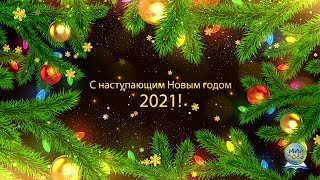 Поздравление с Новым годом #2065!