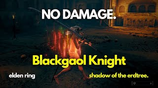 No Hit Run - Blackgaol Knight Boss Fight [Elden Ring DLC Shadow of the Erdtree]