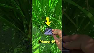 Smart Phone Underwater