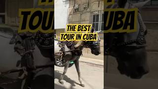 The best tour in cuba🇨🇺 #cuba #tour #bestplayer #shorts #shortvideo #short #shortsviral #subscribe